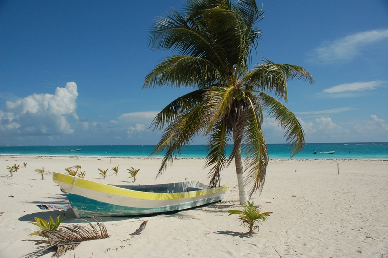 beach in mexuci 