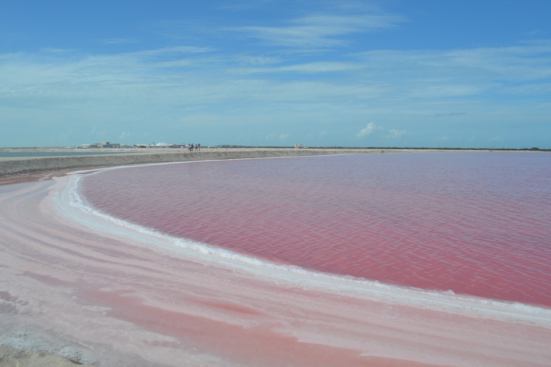las Coloradans pink lagoons Mexico Yucatan