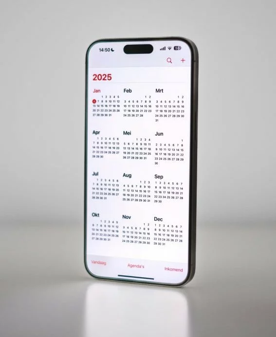 2025 calendar on phone