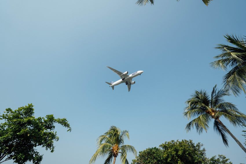 airplane flying over trees
