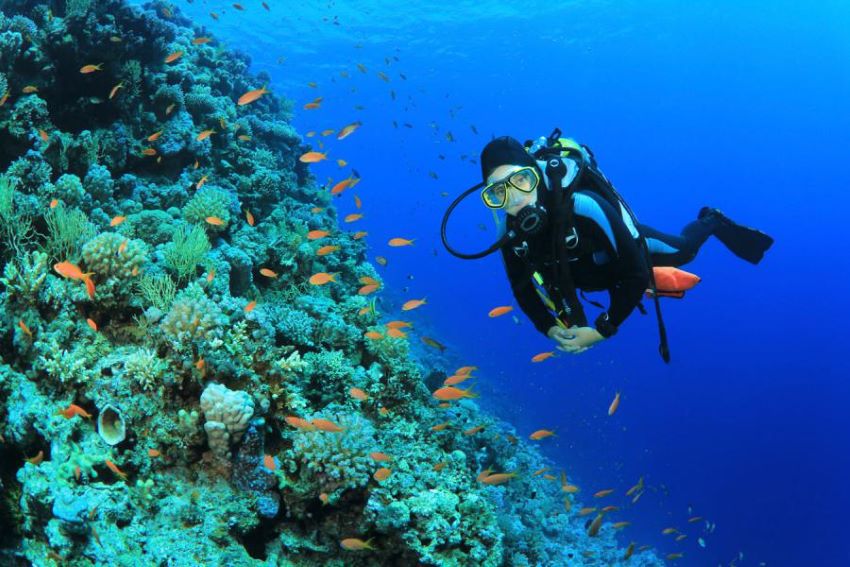 scuba diving near ocean coral turquesa