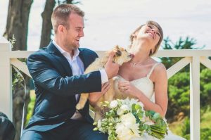 bride groom and their pet dog at the wedding