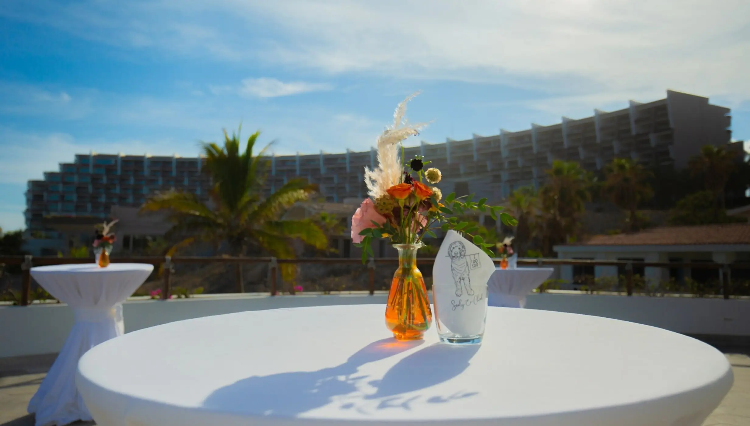 Cocktail party in encanto terrace at Mar del Cabo