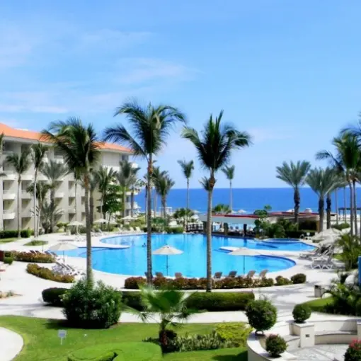 Main pool and palm trees at Barcelo Gran Faro Los Cabos, Cabo San Lucas