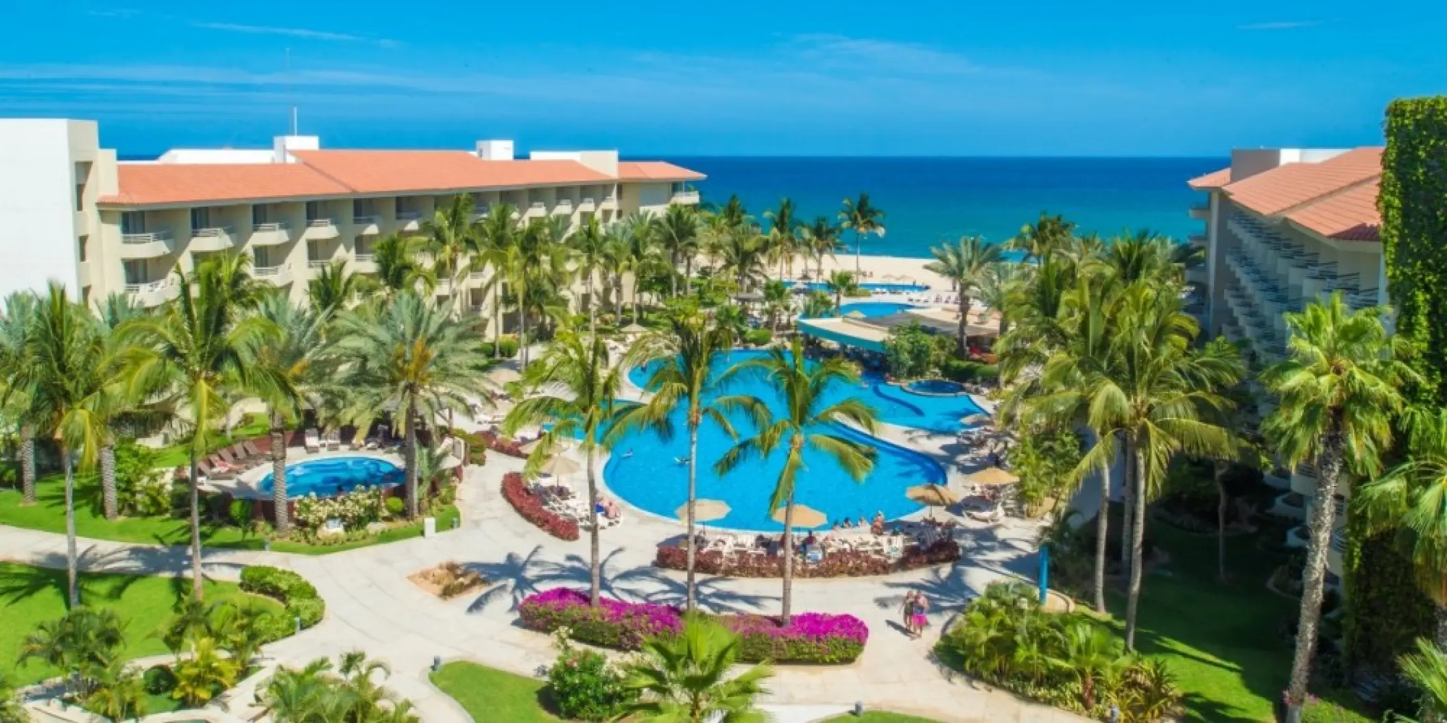 Aerial view of the pools and palm trees at Barcelo Gran Faro, Cabo San Lucas