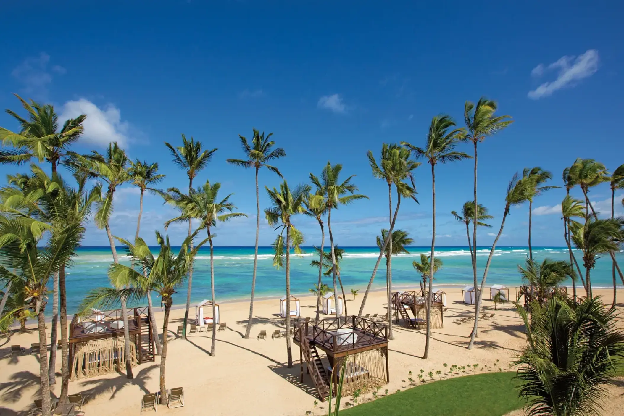 Palm trees and beach cabanas on the shore at Breathless Punta Cana, Punta Cana