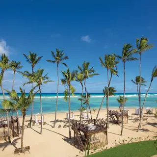 Palm trees and beach cabanas on the shore at Breathless Punta Cana, Punta Cana