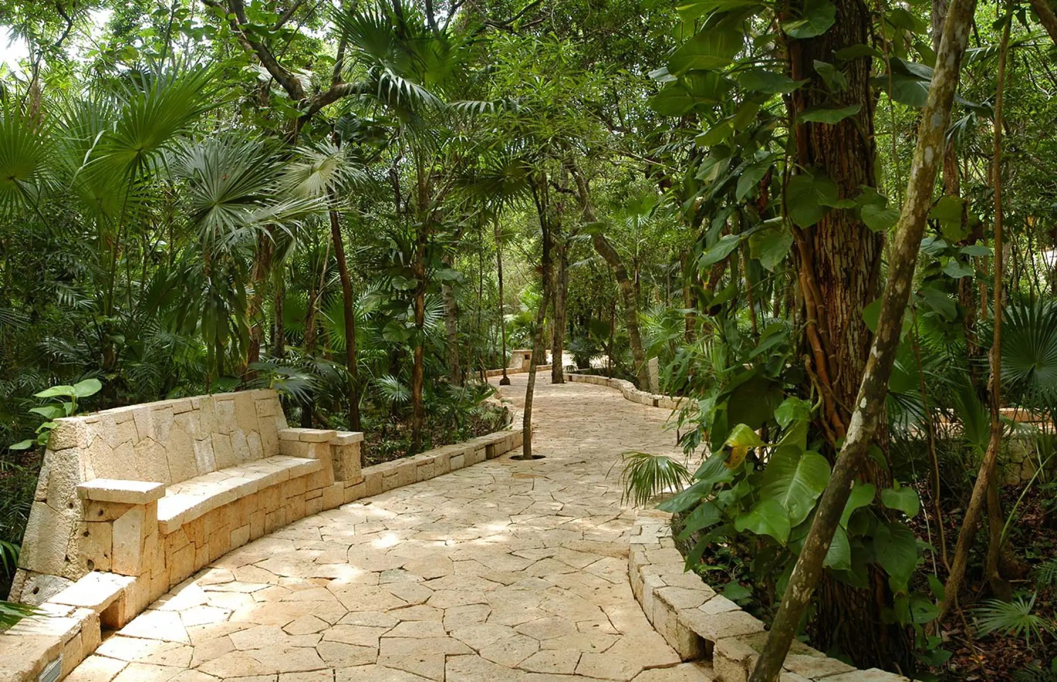 Stone walking path through lush tropical gardens at Catalonia Royal Tulum