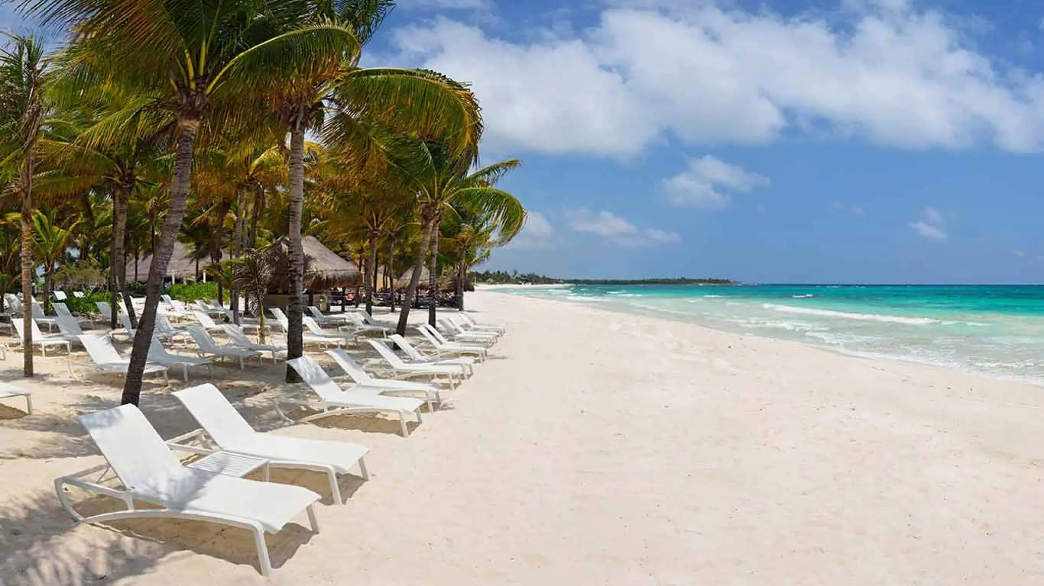 White lounge chairs under palm trees on the white sand beach at Catalonia Royal Tulum