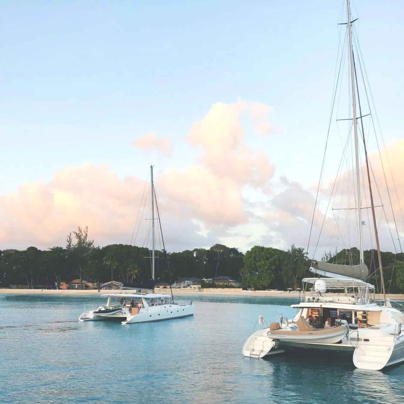 catamaran excursions