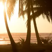 Silhouette of palm trees and a hammock on the beach at sunset in Costa Rica