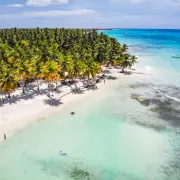 Aerial view of a white sand tropical beach lined with palm trees in the Dominican Republic