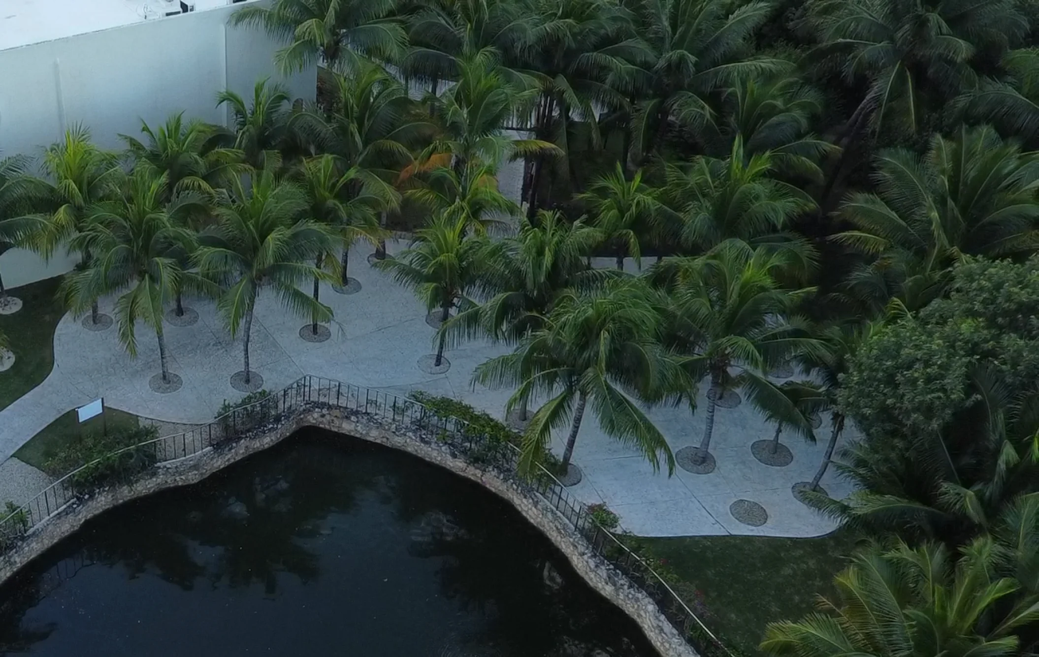 Aerial view of frida garden at el dorado royale