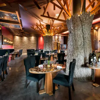 Indoor restaurant with tree-inspired decor at El Dorado Seaside Palms, Riviera Maya