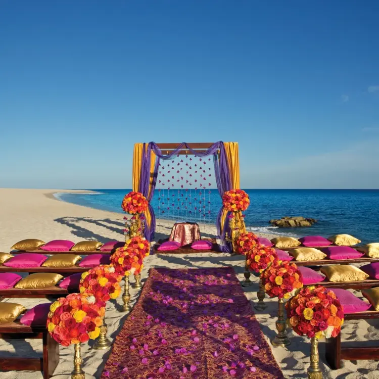 Beachfront wedding ceremony with purple and gold decor at Dreams Los Cabos, Cabo San Lucas