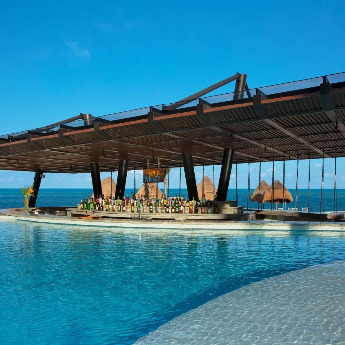 swim up bar and pool at Dreams Natura Resort and Spa