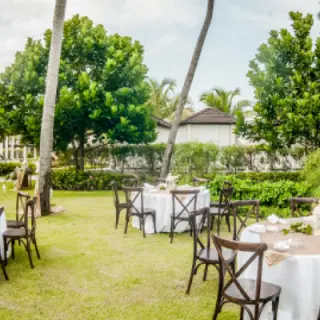 Garden wedding reception with round tables and cross-back chairs at Dreams Onyx, Punta Cana