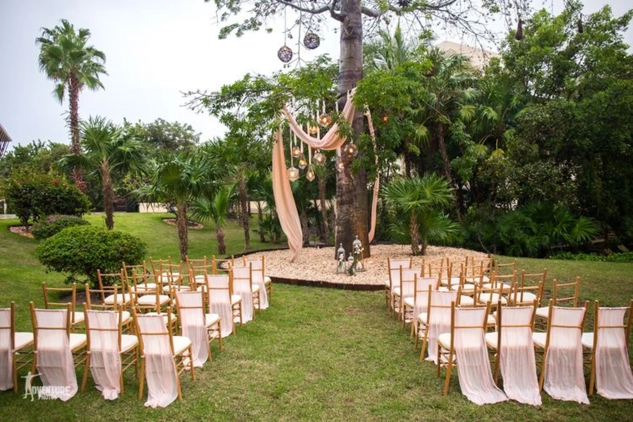 Dreams Riviera Cancun Resort and Spa Ceiba tree venue