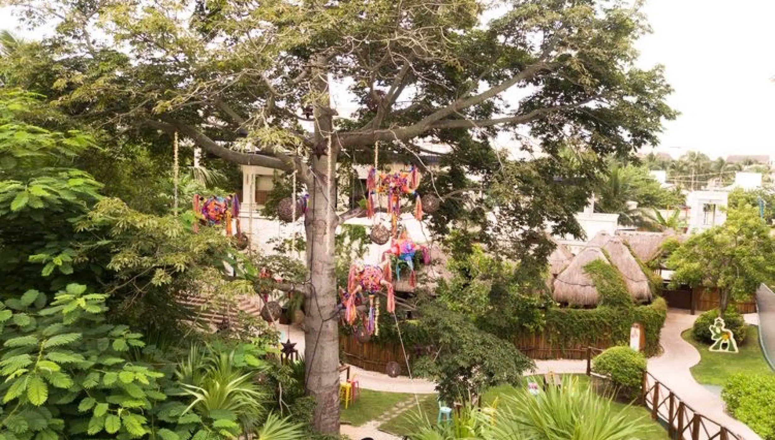 Ceiba tree garden wedding venue at Dreams Riviera Cancun, Riviera Maya