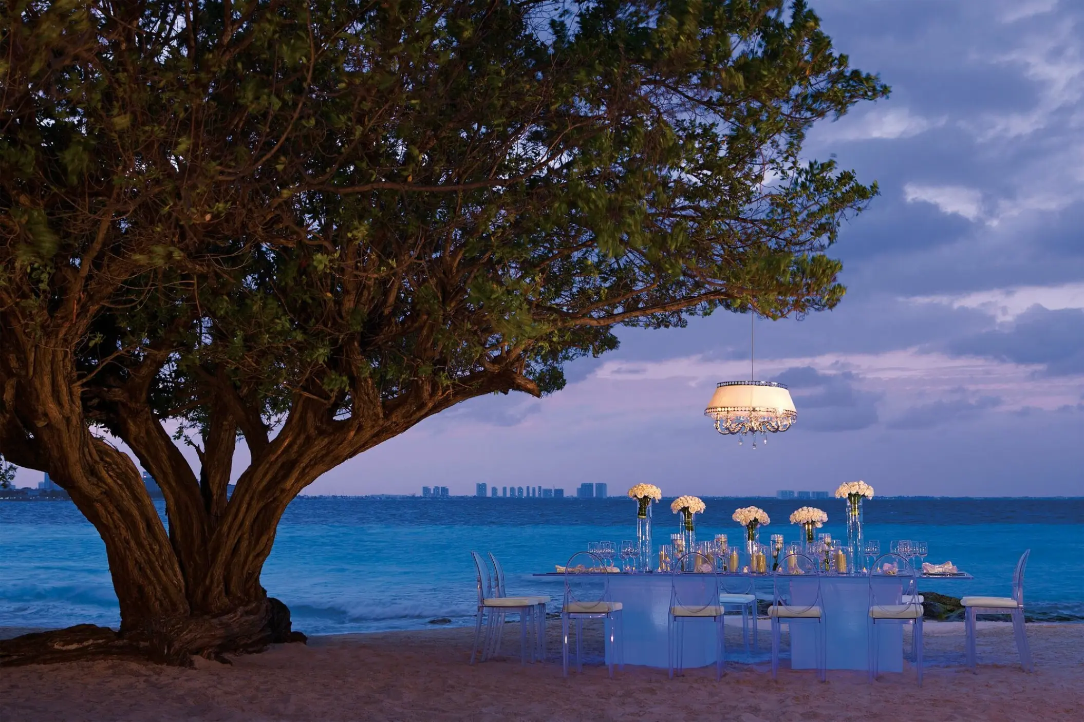 Private wedding dinner table under a large tree at Dreams Sands Cancun