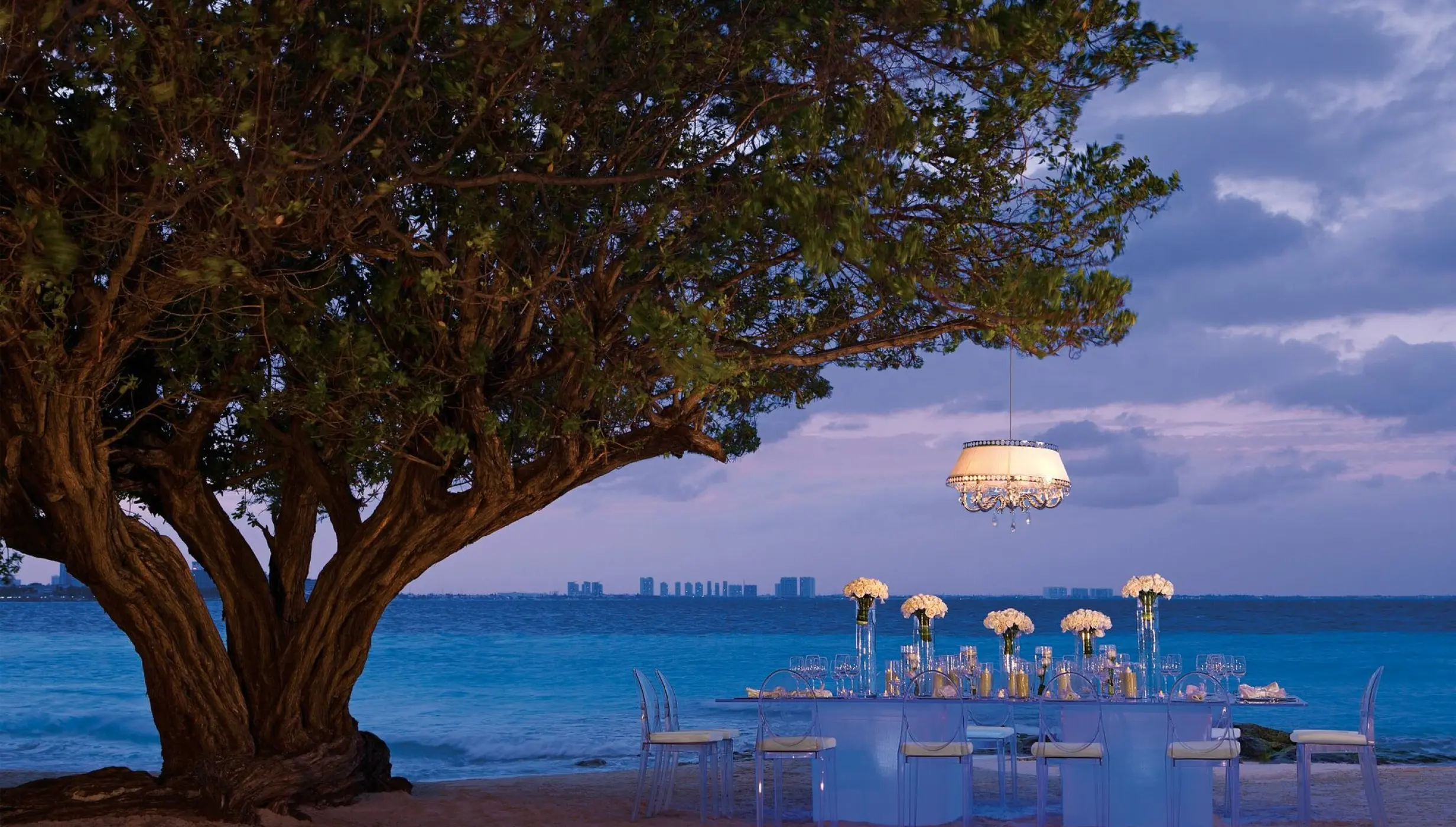 Private wedding dinner table under a large tree at Dreams Sands Cancun