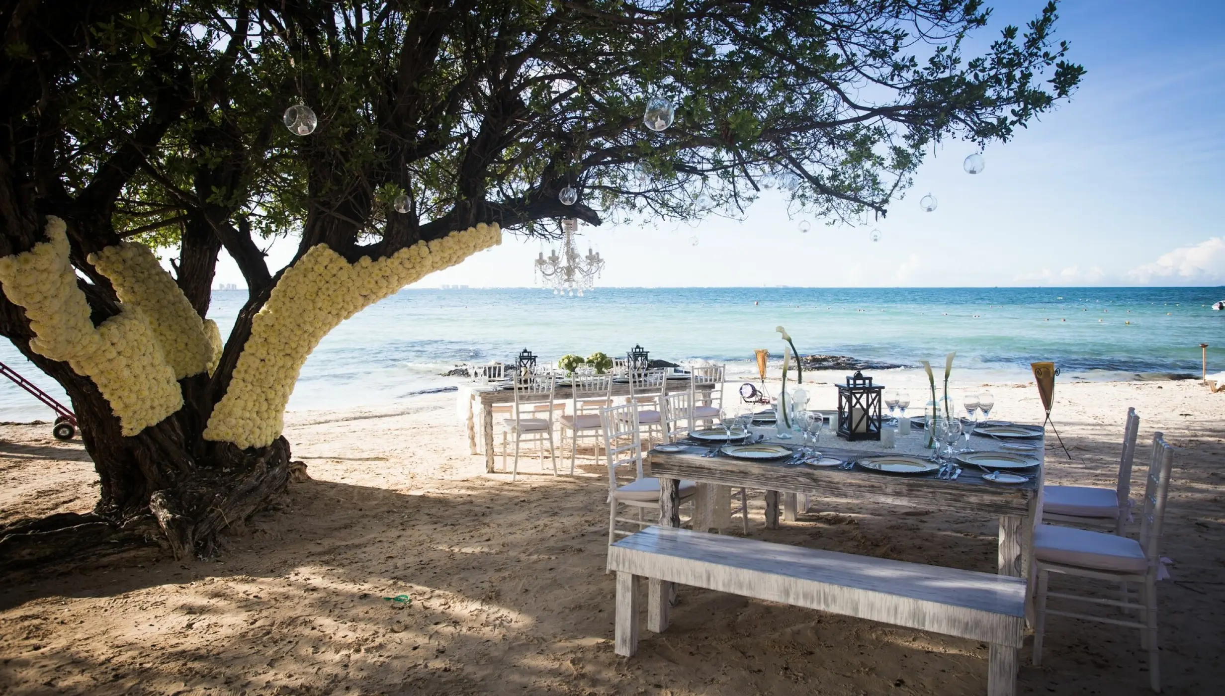 Outdoor wedding reception tables under a large tree on the beach at Dreams Sands, Cancun