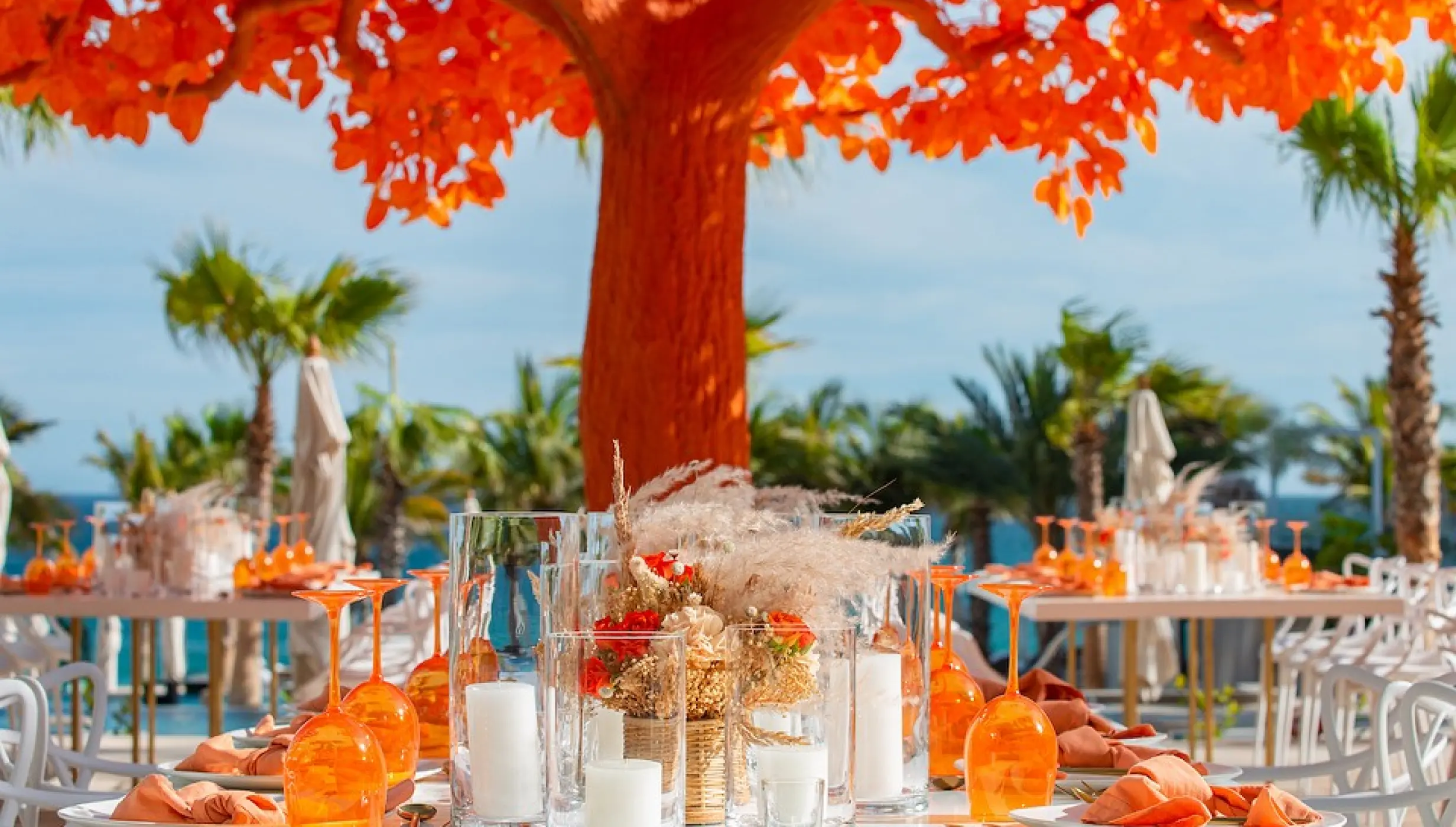 Orange tree at Garza Blanca Resort & Spa Los Cabos