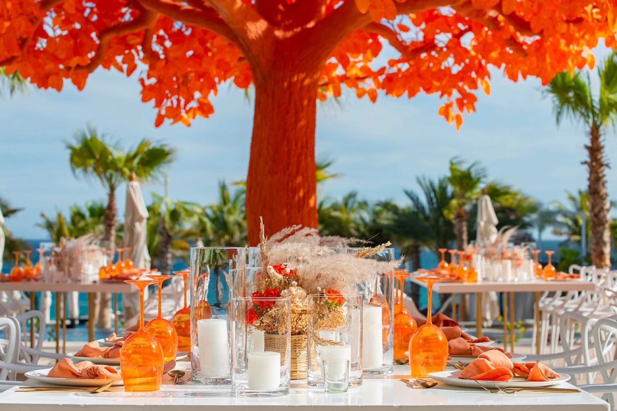 Orange tree at Garza Blanca Resort & Spa Los Cabos