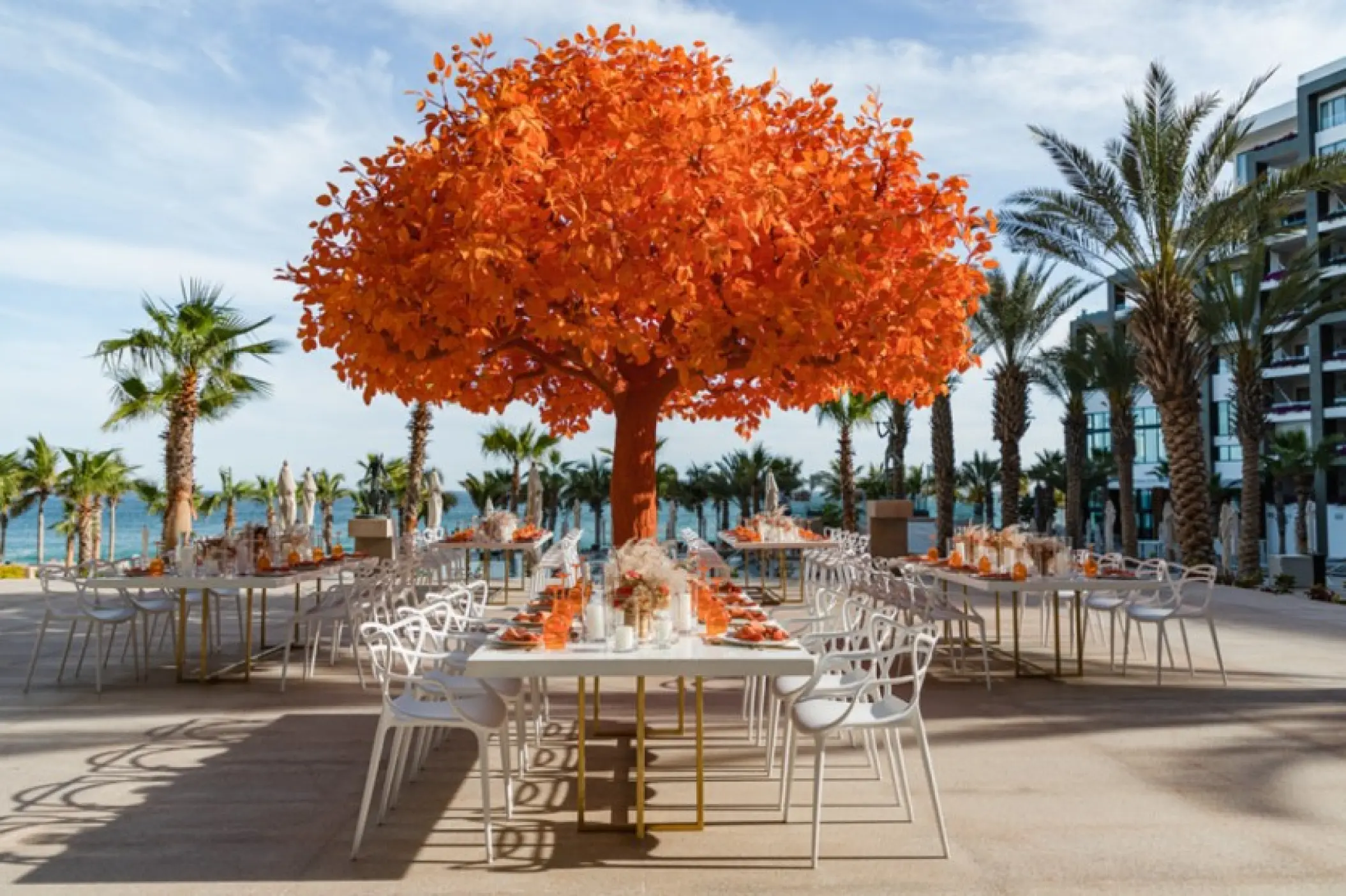Outdoor wedding reception with long tables and a large orange tree at Garza Blanca Los Cabos, Cabo San Lucas