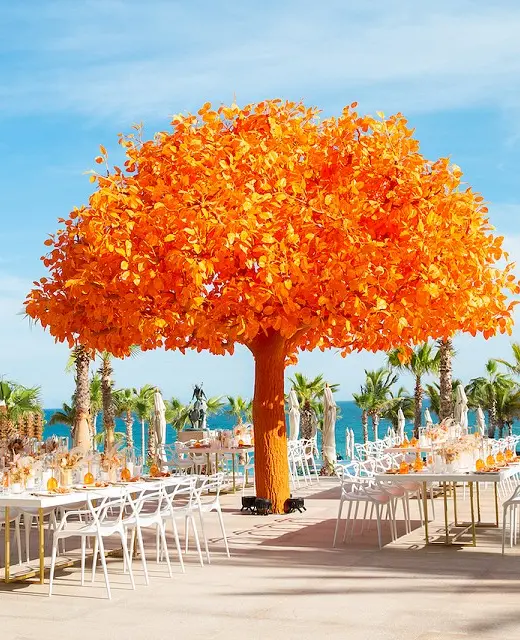 Weddding on the orange tree wedding venue at Garza Blanca Resort & Spa Los Cabos