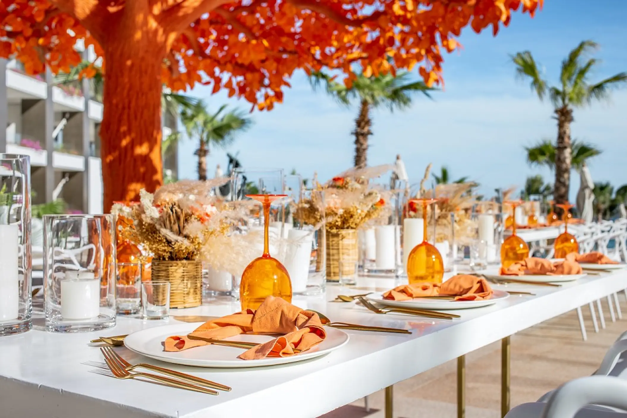 Outdoor wedding reception table with orange glassware under an orange leaf tree at Garza Blanca Los Cabos