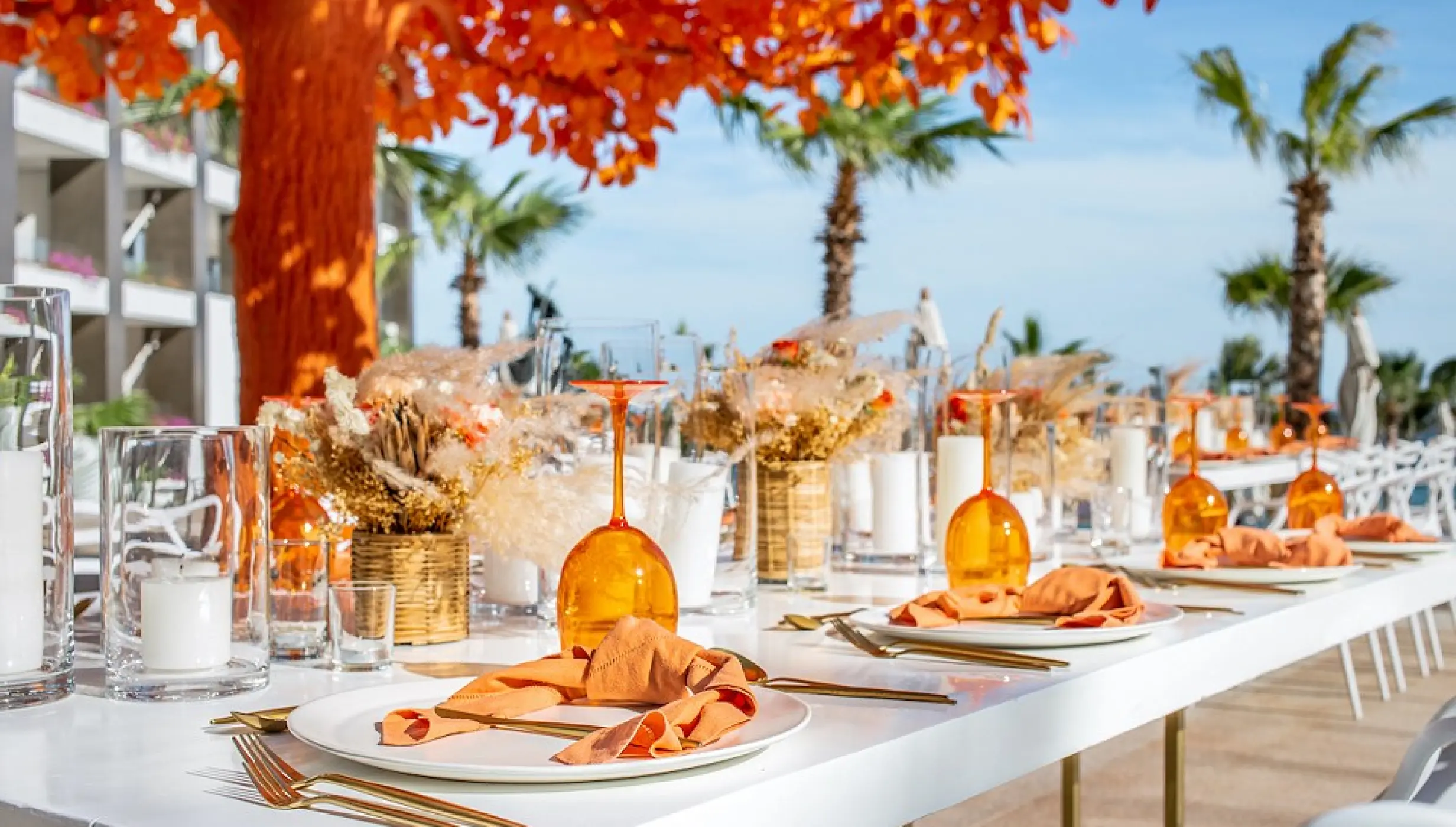 decor on the orange tree at Garza Blanca Resort & Spa Los Cabos