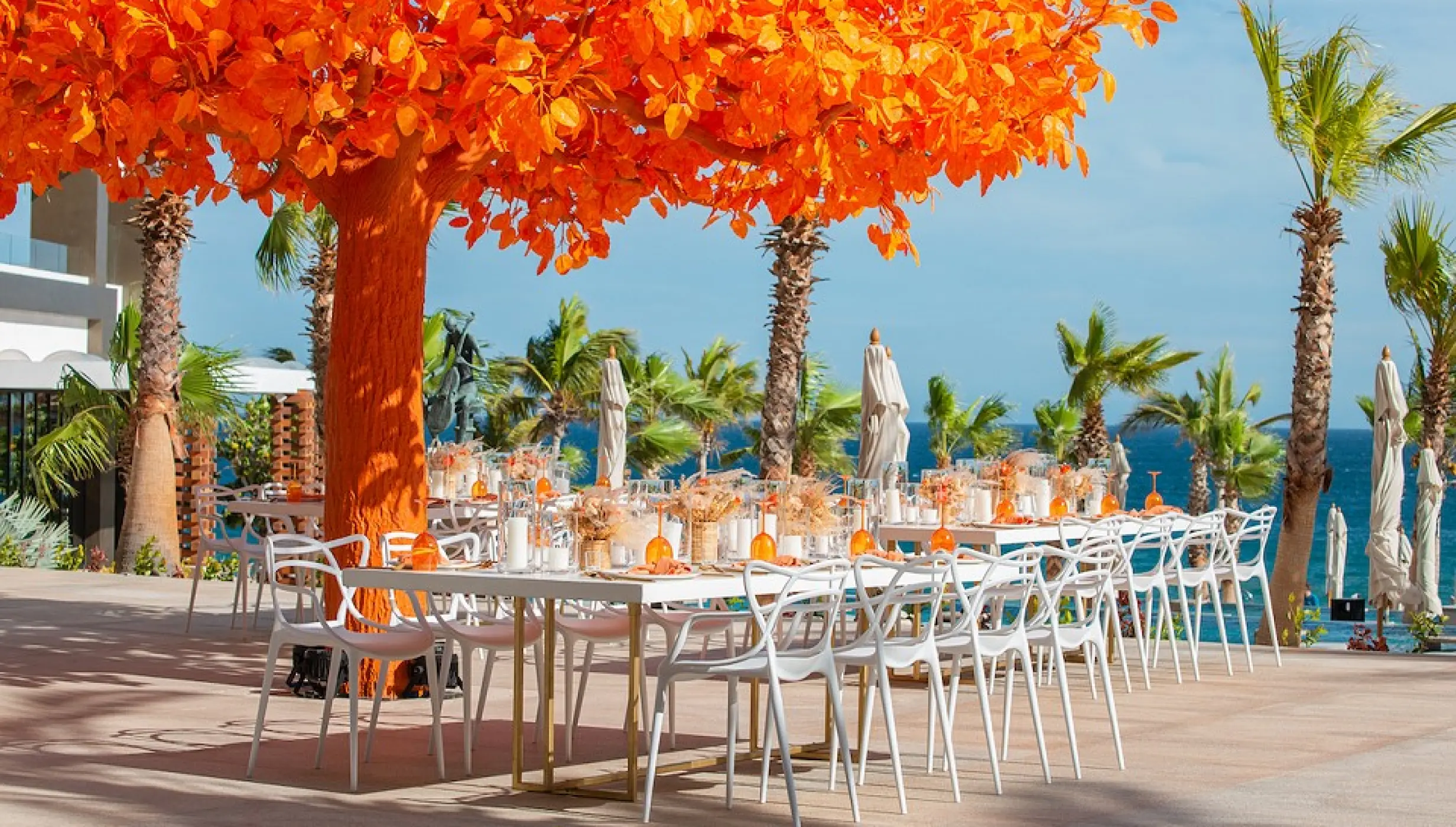 Orange tree at Garza Blanca Resort & Spa Los Cabos