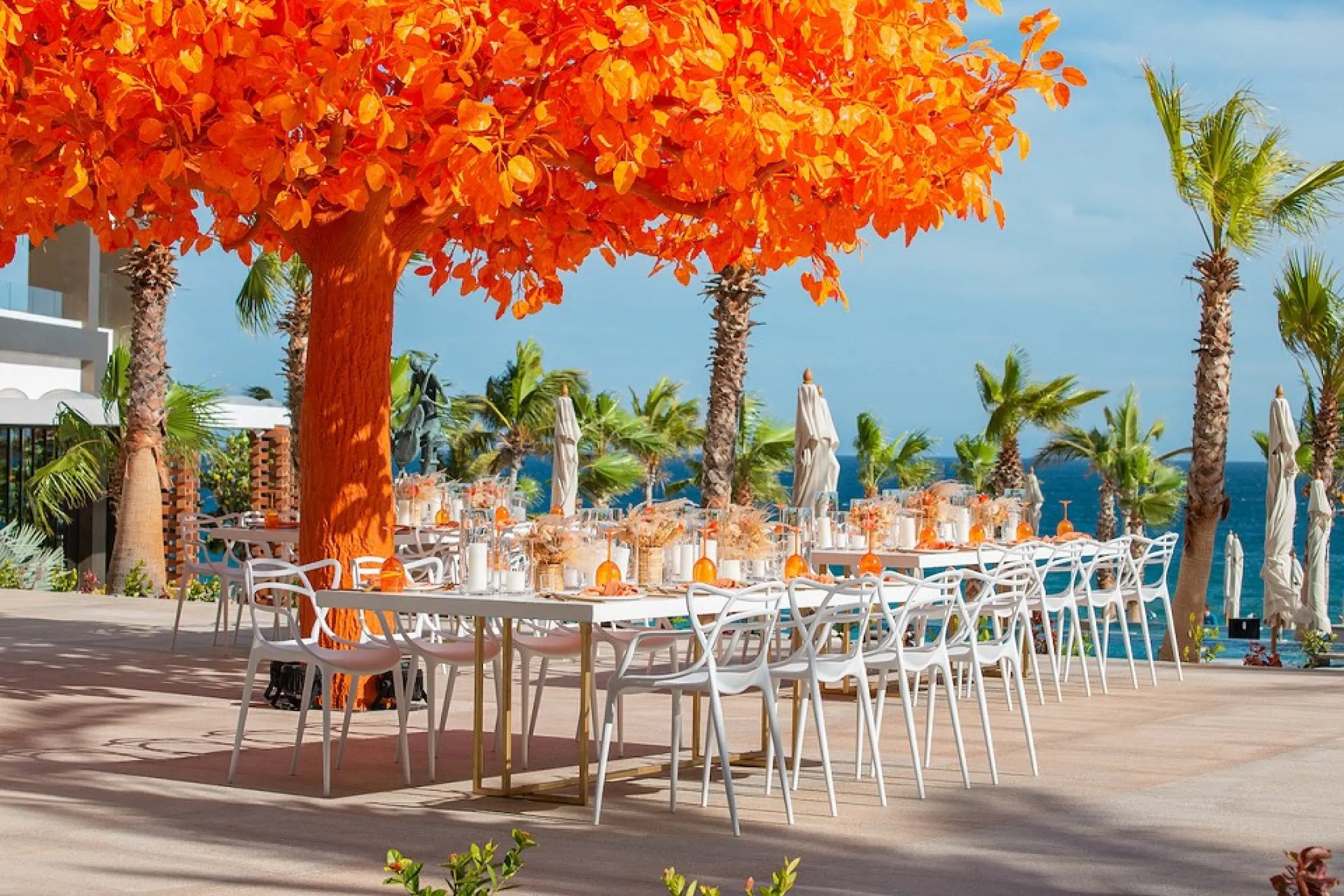 Outdoor wedding reception venue under a bright orange tree at Garza Blanca Los Cabos, Cabo San Lucas