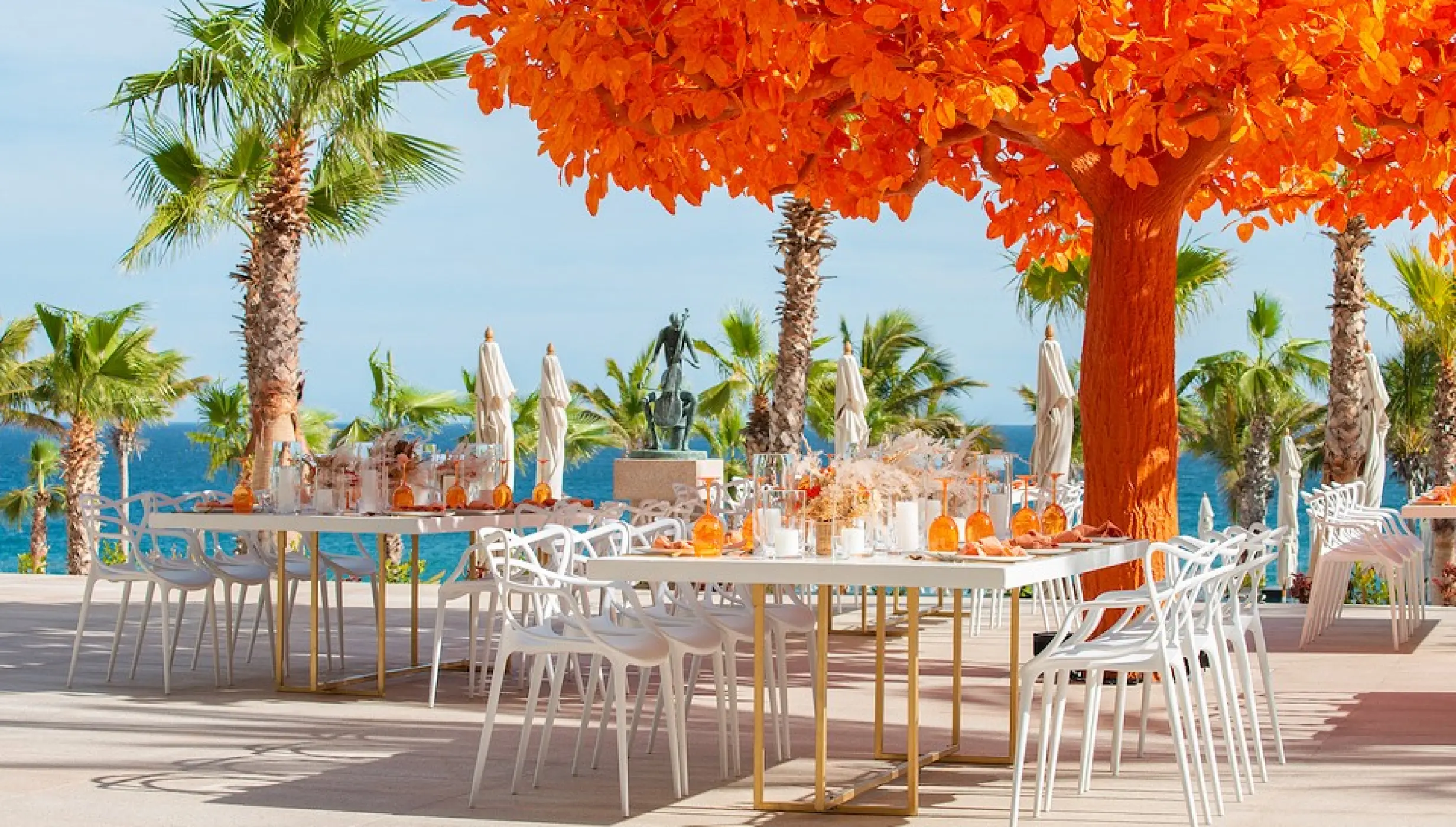 Orange tree at Garza Blanca Resort & Spa Los Cabos