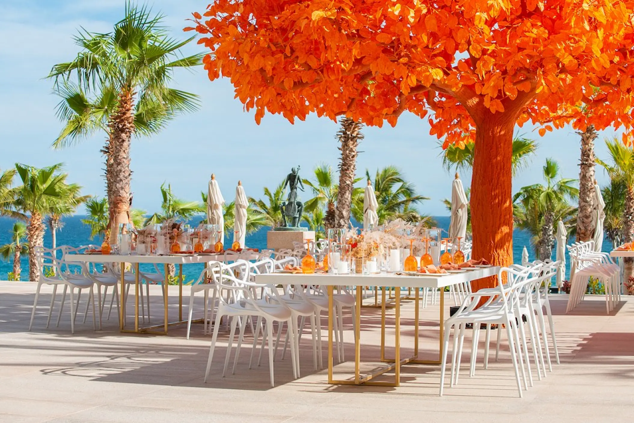 Outdoor wedding reception with an orange tree and white tables at Garza Blanca Los Cabos, Cabo San Lucas