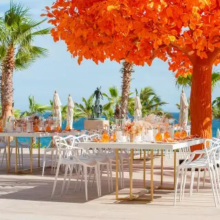 Outdoor wedding reception with an orange tree and white tables at Garza Blanca Los Cabos, Cabo San Lucas