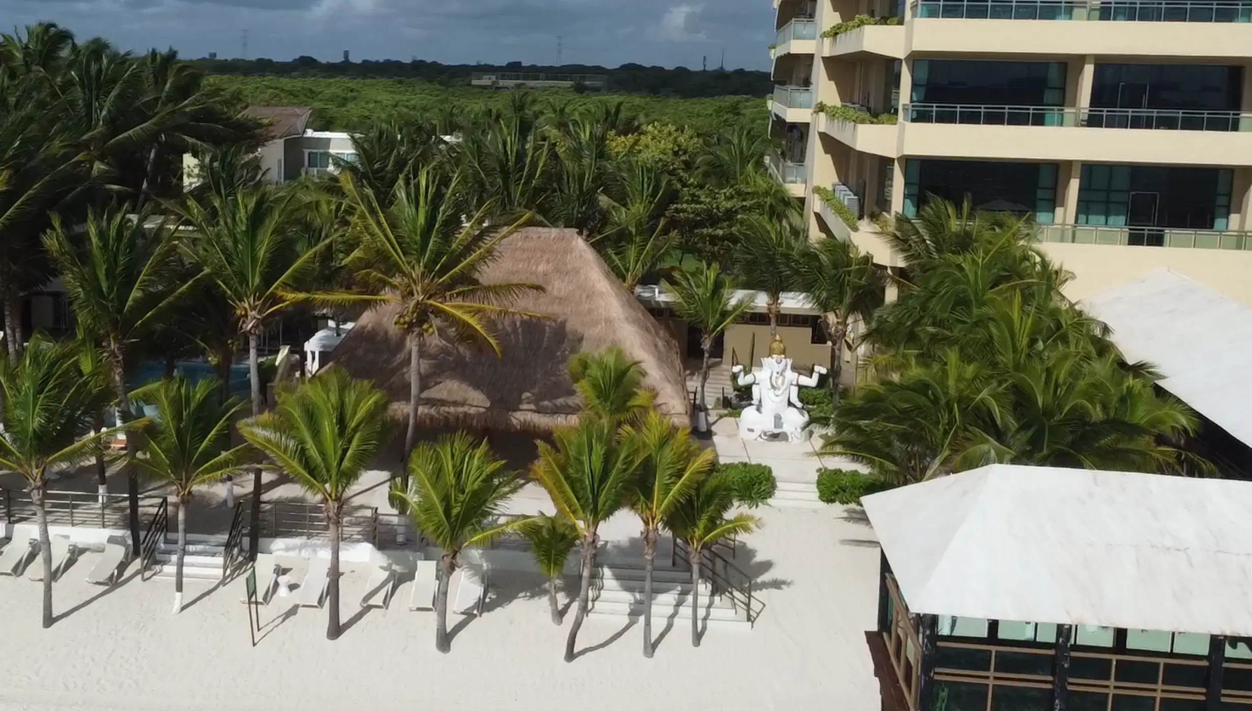 beach reception venue with palm trees at Generations Riviera Maya resort