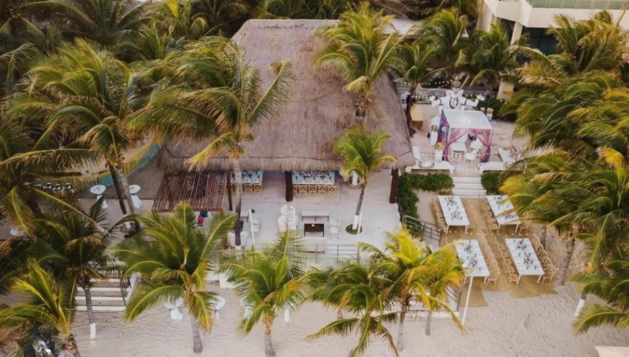 beach reception venue with palm trees at Generations Riviera Maya resort