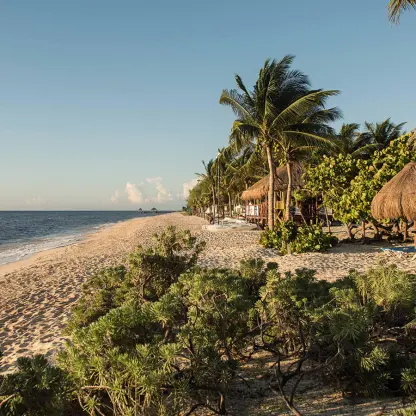White sand beach with palapas and palm trees at Grand Riviera Princess, Playa Del Carmen