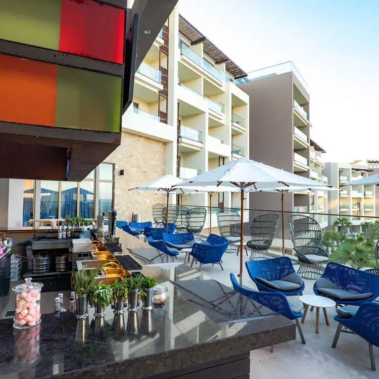 Outdoor bar terrace with blue chairs and white umbrellas at Hard Rock Los Cabos, Cabo San Lucas
