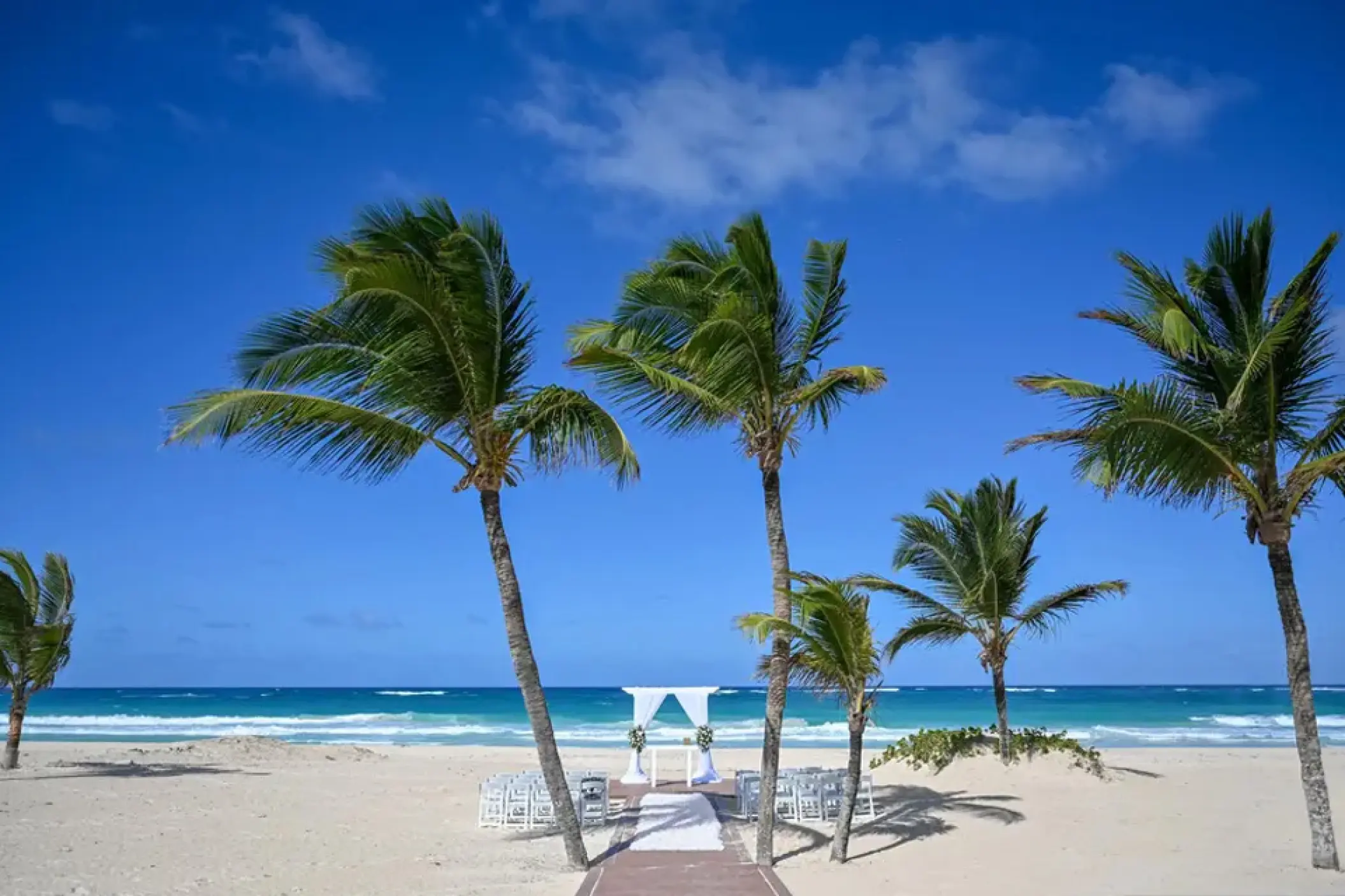 Beachfront wedding ceremony setup under palm trees at Hard Rock Hotel Punta Cana