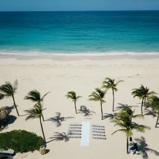 Aerial view of a beach ceremony setup among palm trees at Hard Rock Punta Cana