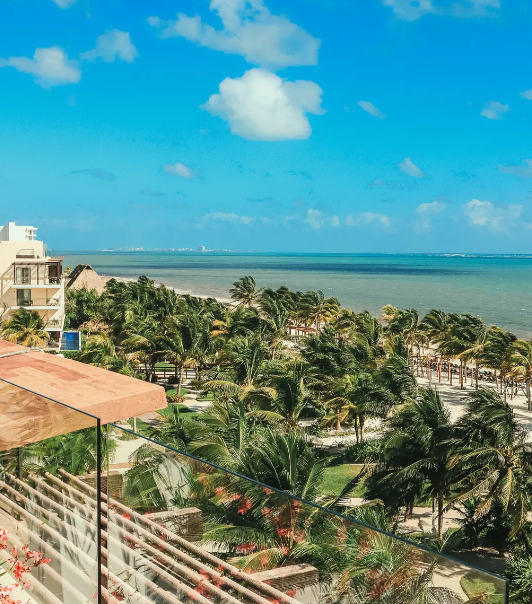 Hideaway at Royalton Riviera Cancun aerial view of the beach and palm trees, Cancun
