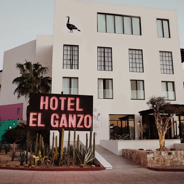 Hotel El Ganzo main entrance sign and white boutique building facade, Cabo San Lucas