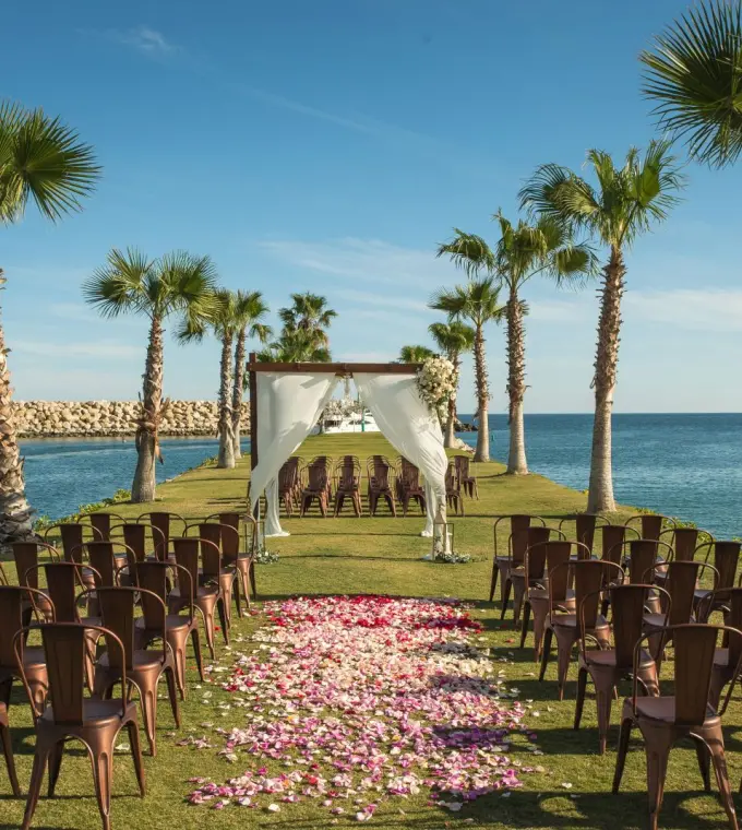 Waterfront wedding ceremony with palm trees and petal aisle at Hotel El Ganzo, Cabo San Lucas