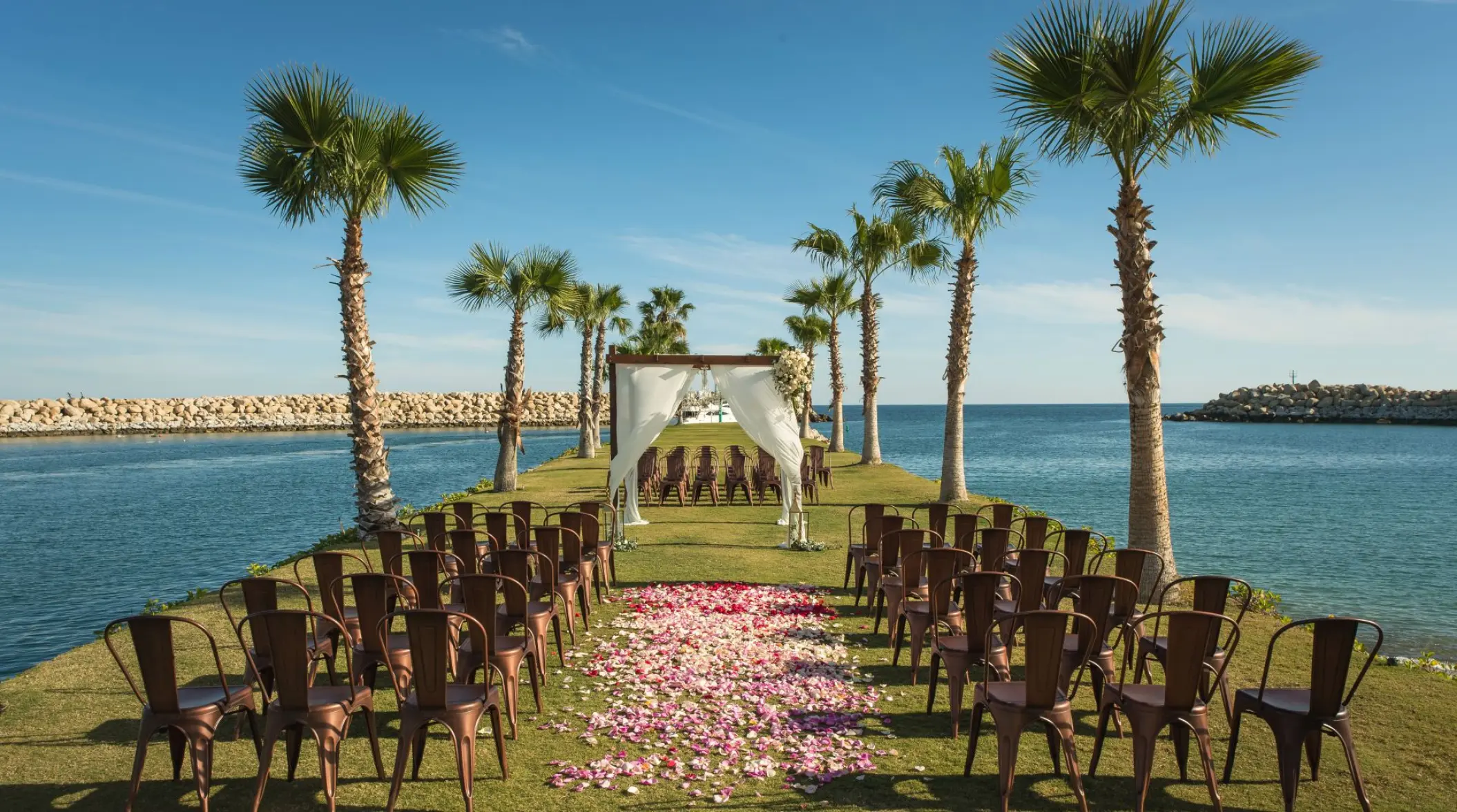 Waterfront wedding ceremony with palm trees and petal aisle at Hotel El Ganzo, Cabo San Lucas