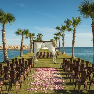 Waterfront wedding ceremony with palm trees and petal aisle at Hotel El Ganzo, Cabo San Lucas