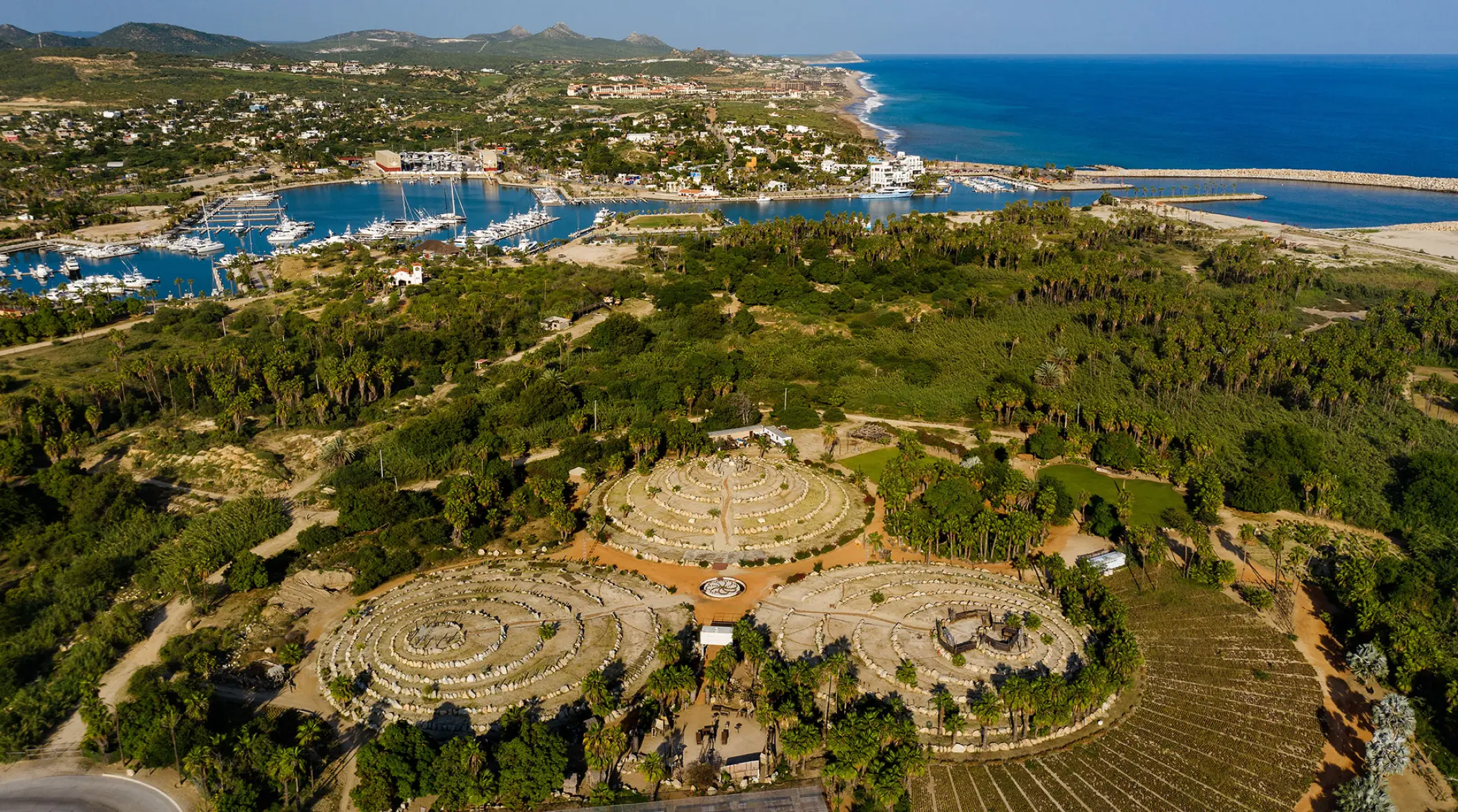 Aerial view of a garden wedding reception at Hotel El Ganzo, Cabo San Lucas