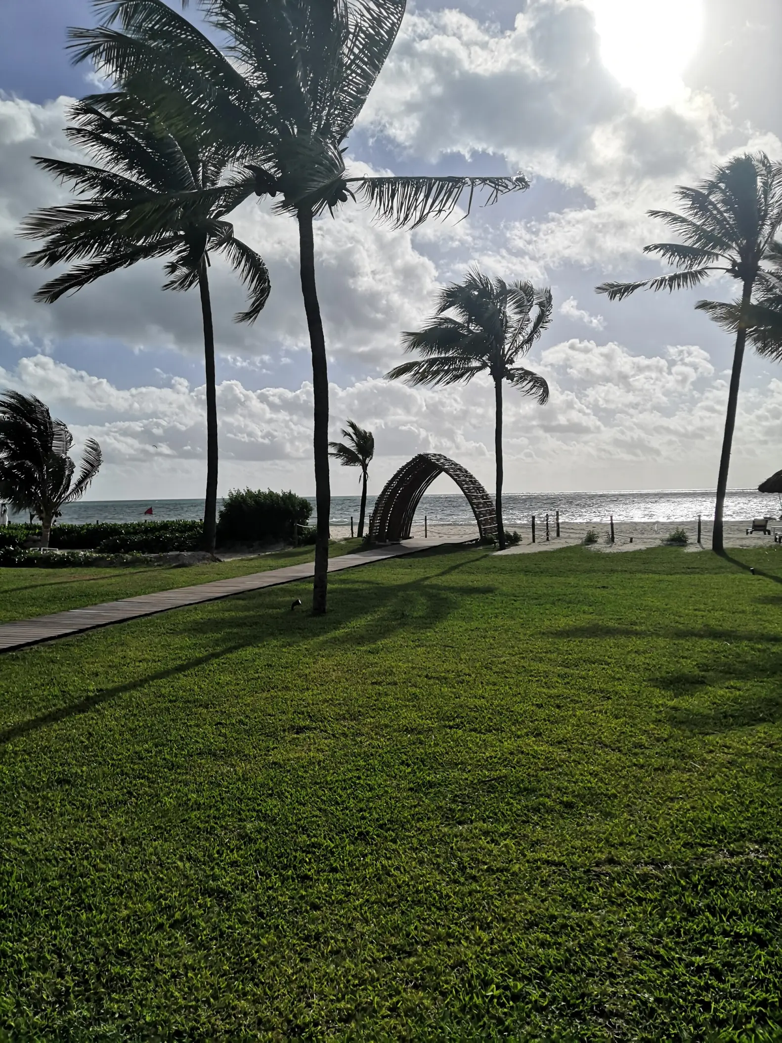 Garden wedding ceremony lawn with palm trees and a wooden arch at Hyatt Zilara Riviera Maya